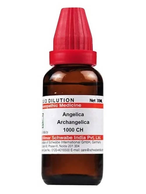 Dr. Willmar Schwabe India Angelica Archangelica Dilution Dr. Willmar Schwabe India Angelica Archangelica Dilution