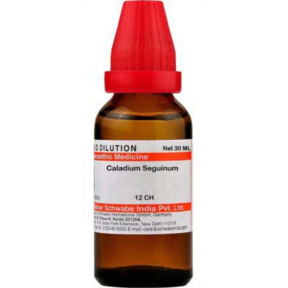 Dr. Willmar Schwabe India Caladium Seguinum Dilution - Safuron Naturals Dr. Willmar Schwabe India Caladium Seguinum Dilution - Safuron Naturals