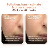 Mamaearth Chia Calming Face Cleanser with Chia Seed & Ceramides for Dry & Sensitive Skin