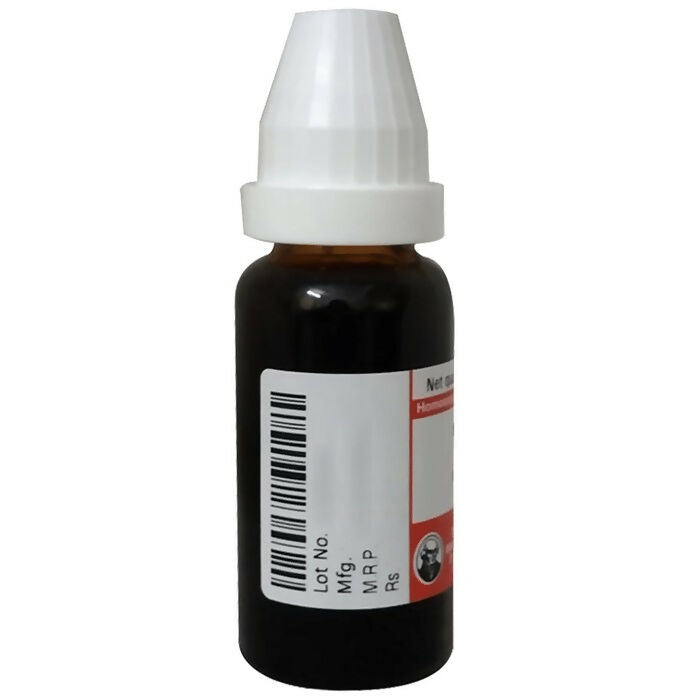 Dr. Willmar Schwabe Germany Phytolacca Dilution Dr. Willmar Schwabe Germany Phytolacca Dilution