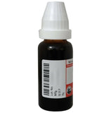 Dr. Willmar Schwabe Germany Phytolacca Dilution