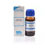 SBL Homeopathy Syzygium Jambolanum Mother Tincture Q - Safuron