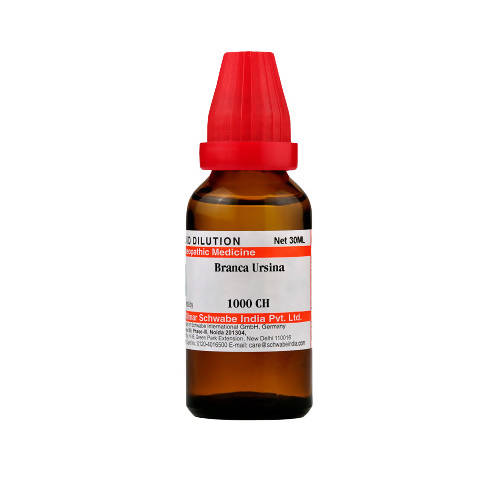 Dr Willmar Schwabe India Branca Ursina 30 ml Dr Willmar Schwabe India Branca Ursina 30 ml