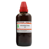 Dr. Willmar Schwabe India Gelsemium Sempervirens Mother Tincture Q - Safuron Naturals
