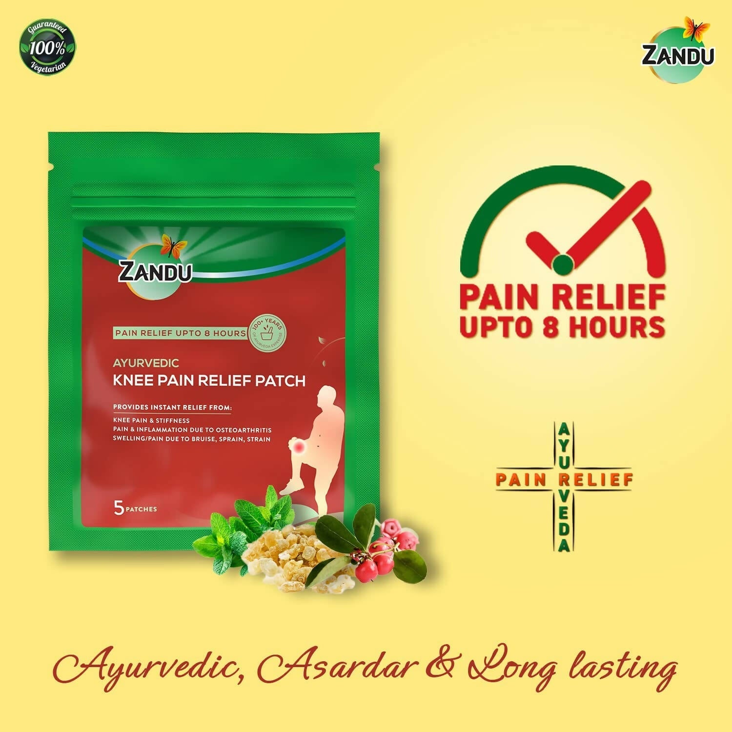 Zandu Ayurvedic Knee Pain Relief Patch Zandu Ayurvedic Knee Pain Relief Patch