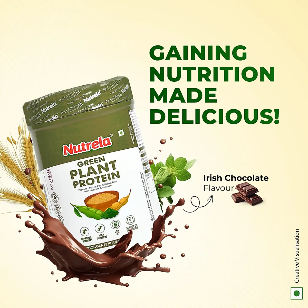 Patanjali Nutrela Green Plant Protein Chocolate Flavour Patanjali Nutrela Green Plant Protein Chocolate Flavour