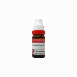 Dr. Reckeweg Euphorbium Dilution - Safuron Naturals