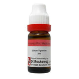 Dr. Reckeweg Lilium Tigrinum Dilution - Safuron Naturals