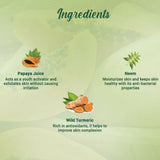 Biotique Bio Papaya Deep Cleanse Visibly Glowing Skin Face Wash