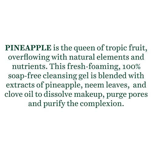 Biotique Advanced Ayurveda Bio Pineapple Oil Control Foaming Face Cleanser Biotique Advanced Ayurveda Bio Pineapple Oil Control Foaming Face Cleanser