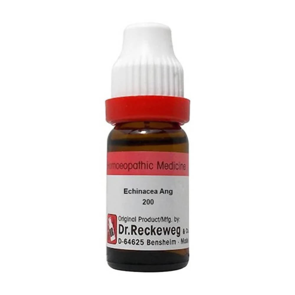 Dr. Reckeweg Echinacea Ang Dilution - Safuron Naturals Dr. Reckeweg Echinacea Ang Dilution - Safuron Naturals