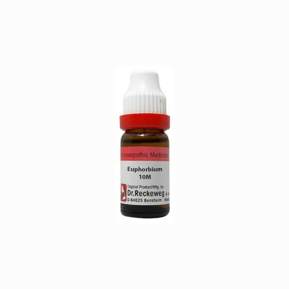 Dr. Reckeweg Euphorbium Dilution - Safuron Naturals Dr. Reckeweg Euphorbium Dilution - Safuron Naturals