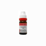 Dr. Reckeweg Euphorbium Dilution - Safuron Naturals