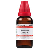 Dr. Willmar Schwabe India Phytolacca Dilution - Safuron Naturals