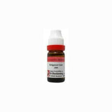 Dr. Reckeweg Erigeron Can Dilution - Safuron Naturals