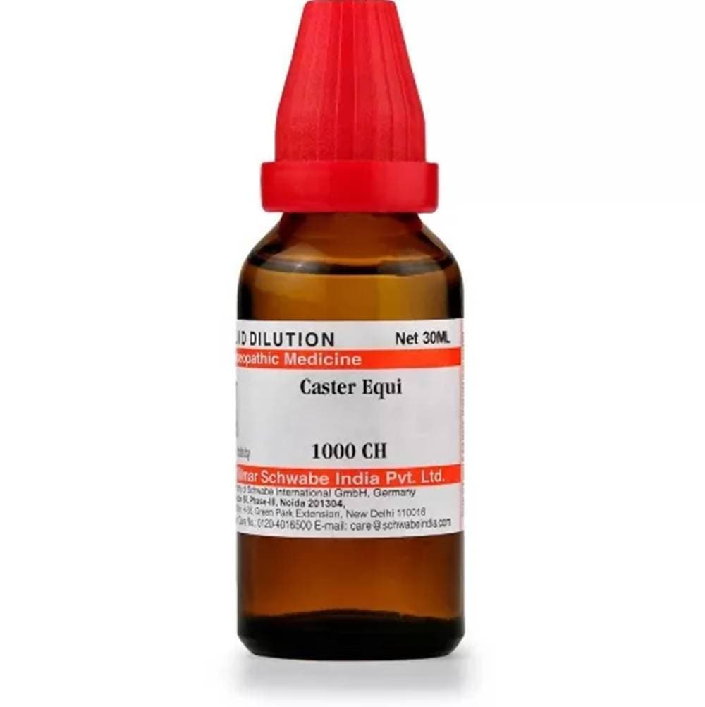 Dr. Willmar Schwabe India Castor Equi Dilution Dr. Willmar Schwabe India Castor Equi Dilution