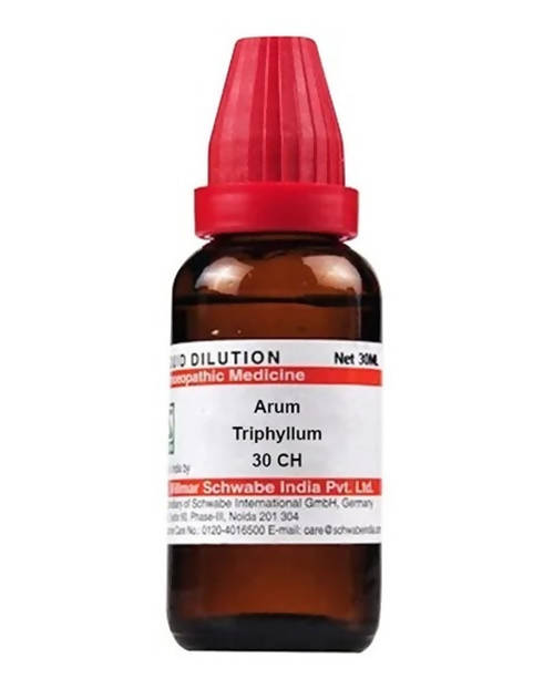 Dr. Willmar Schwabe India Arum Triphyllum Dilution Dr. Willmar Schwabe India Arum Triphyllum Dilution
