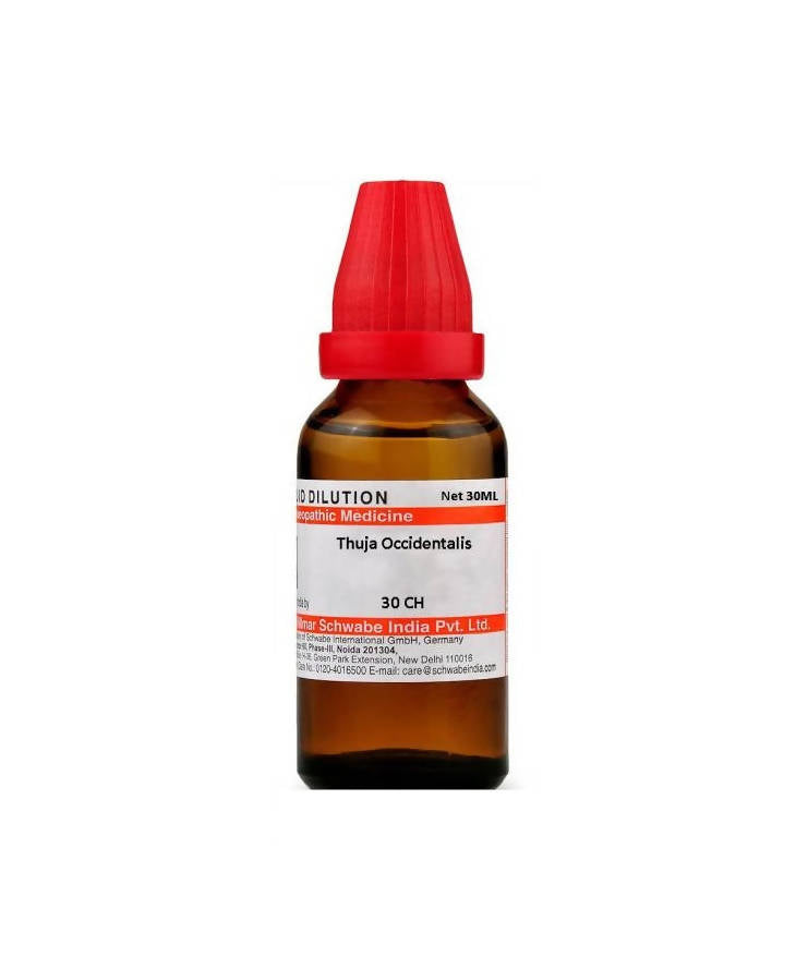 Dr. Willmar Schwabe India Thuja Occidentalis Dilution - Safuron Naturals