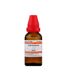 Dr. Willmar Schwabe India Thuja Occidentalis Dilution - Safuron Naturals