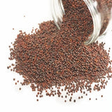 FreshOn Mustard Seeds Small (Natural) Freshon
