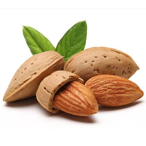 Freshon Almond / Badam Premium (with Rich oil) Freshon