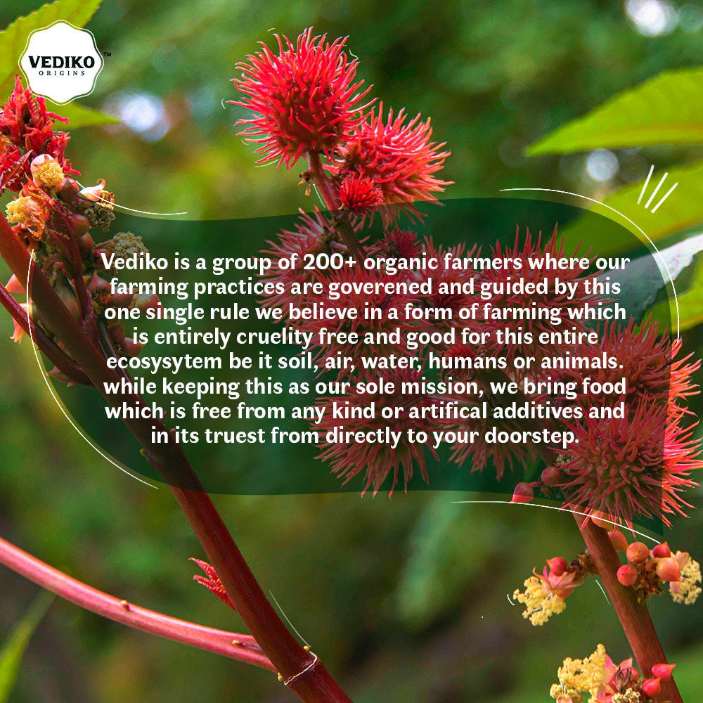 Vediko Origins Castor Oil Vediko Origins