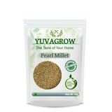 Yuvagrow Pearl Millet Yuvagrow