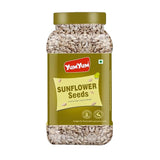 Yum Yum Roasted & Salted Sunflower Seeds Jar - Dista