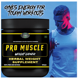 Sabates Powder Pro Muscle Mass Gainer Sabates