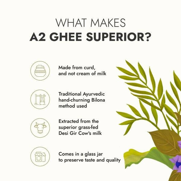 Kapiva A2 Desi Cow Ghee | Pure and Natural Ghee From A2 Cow Milk | Organic Cow Ghee Kapiva Ayurveda