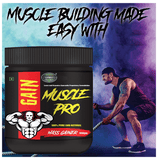 Sabates Gain Muscle Pro Mass Gainer Sabates