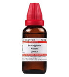Dr. Willmar Schwabe India Brachyglottis Repens Dilution