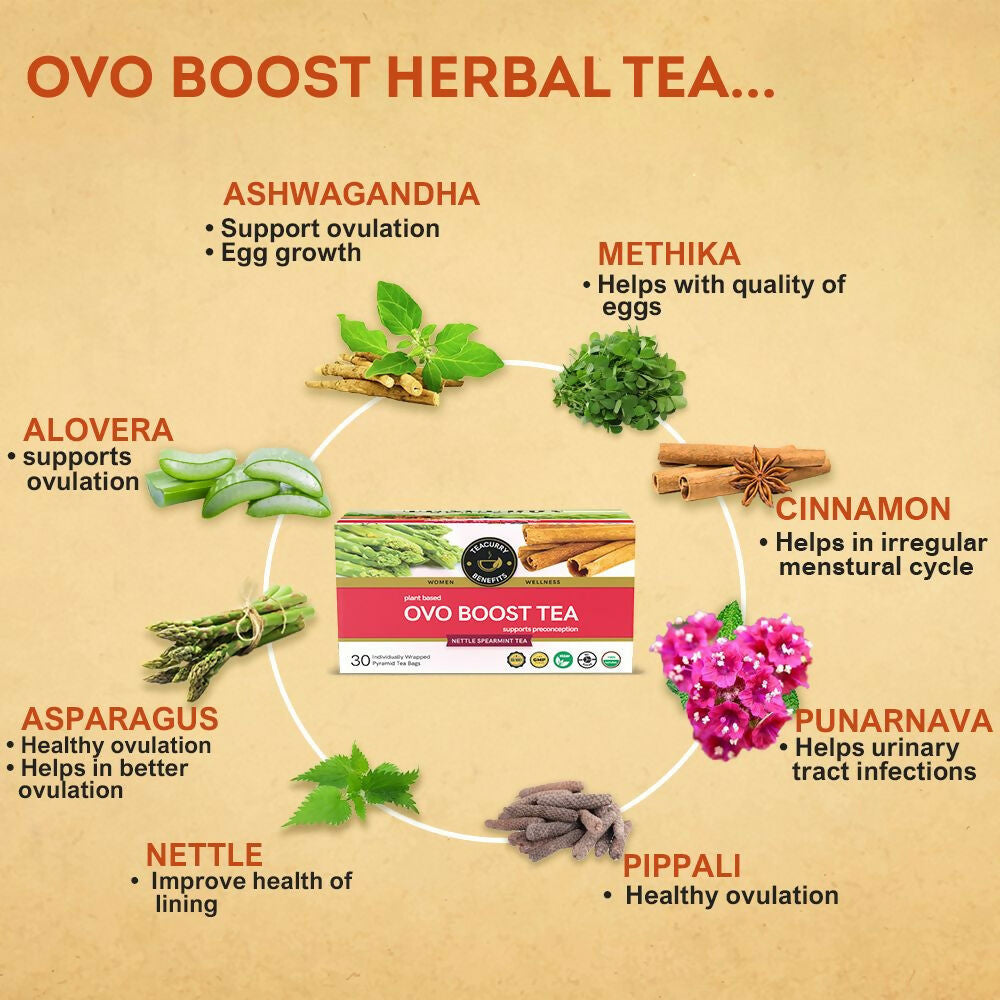 Teacurry Ovo Boost Tea for Women Teacurry