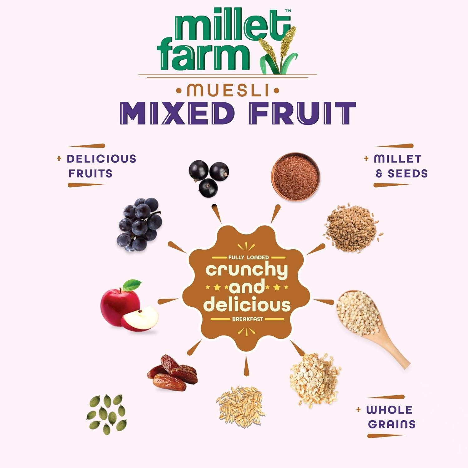 Bagrry's Millet Farm Mixed Fruit Muesli with Jowar and Ragi Bagrry's