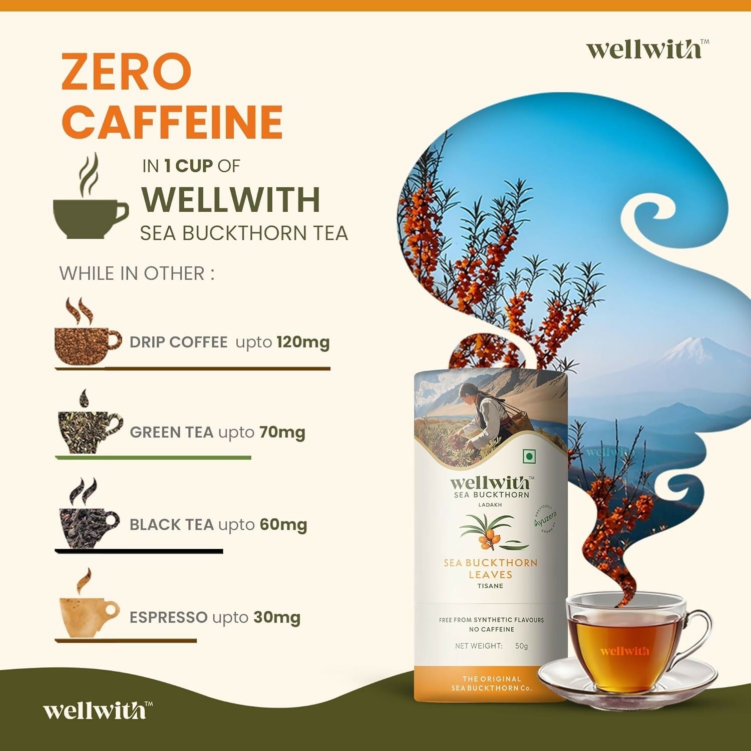 Wellwith Sea Buckthorn Raw Leaves Tea - Himalayan Herbal Leaf Tea Wellwith