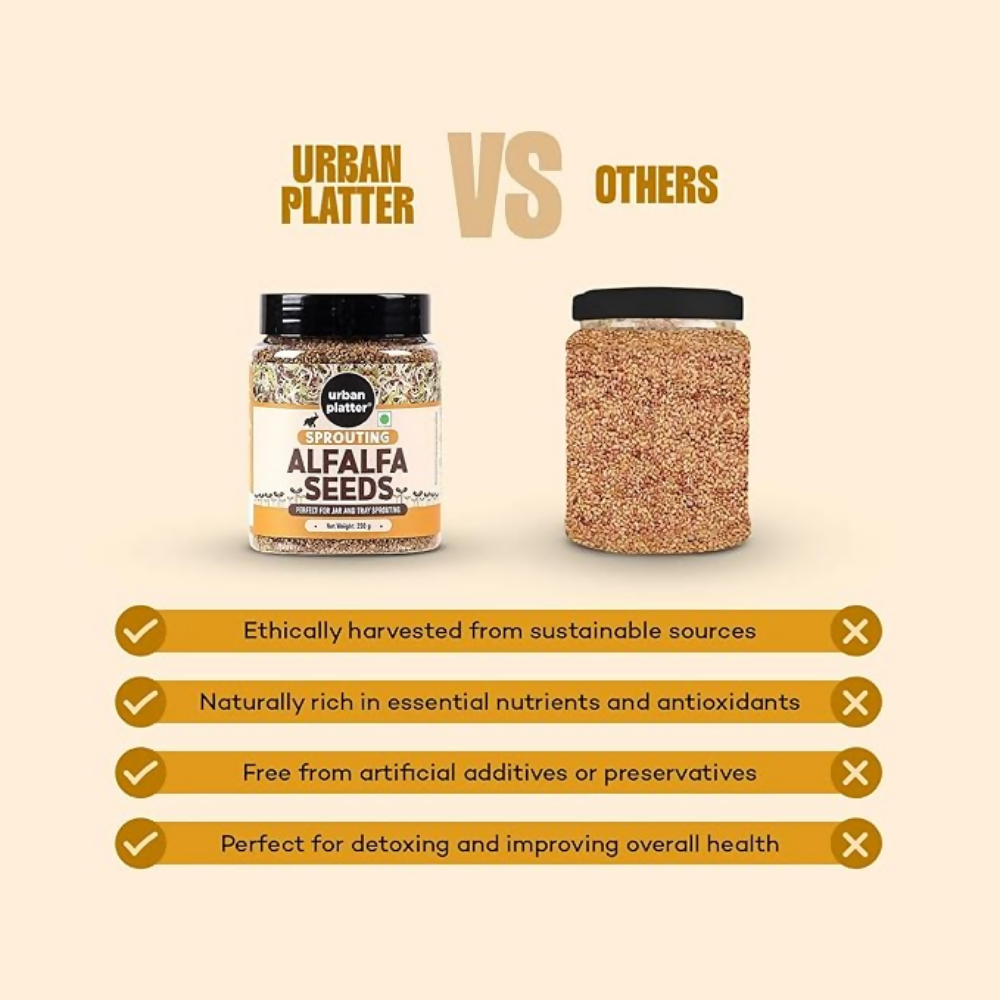 Urban Platter Alfalfa Seeds Urban Platter