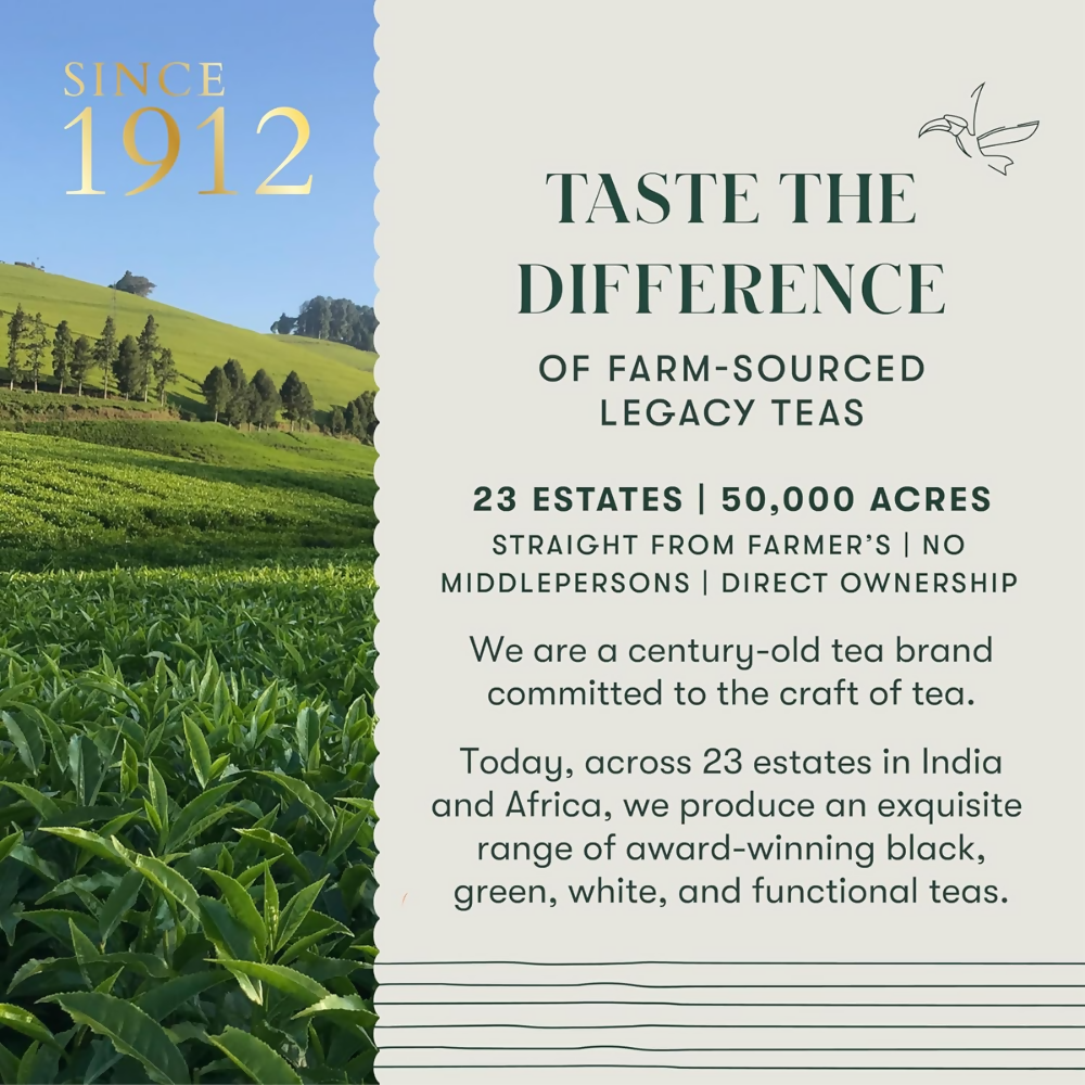 Luxmi Estates Valerian Dream – Organic Sleep Tea Luxmi Estates