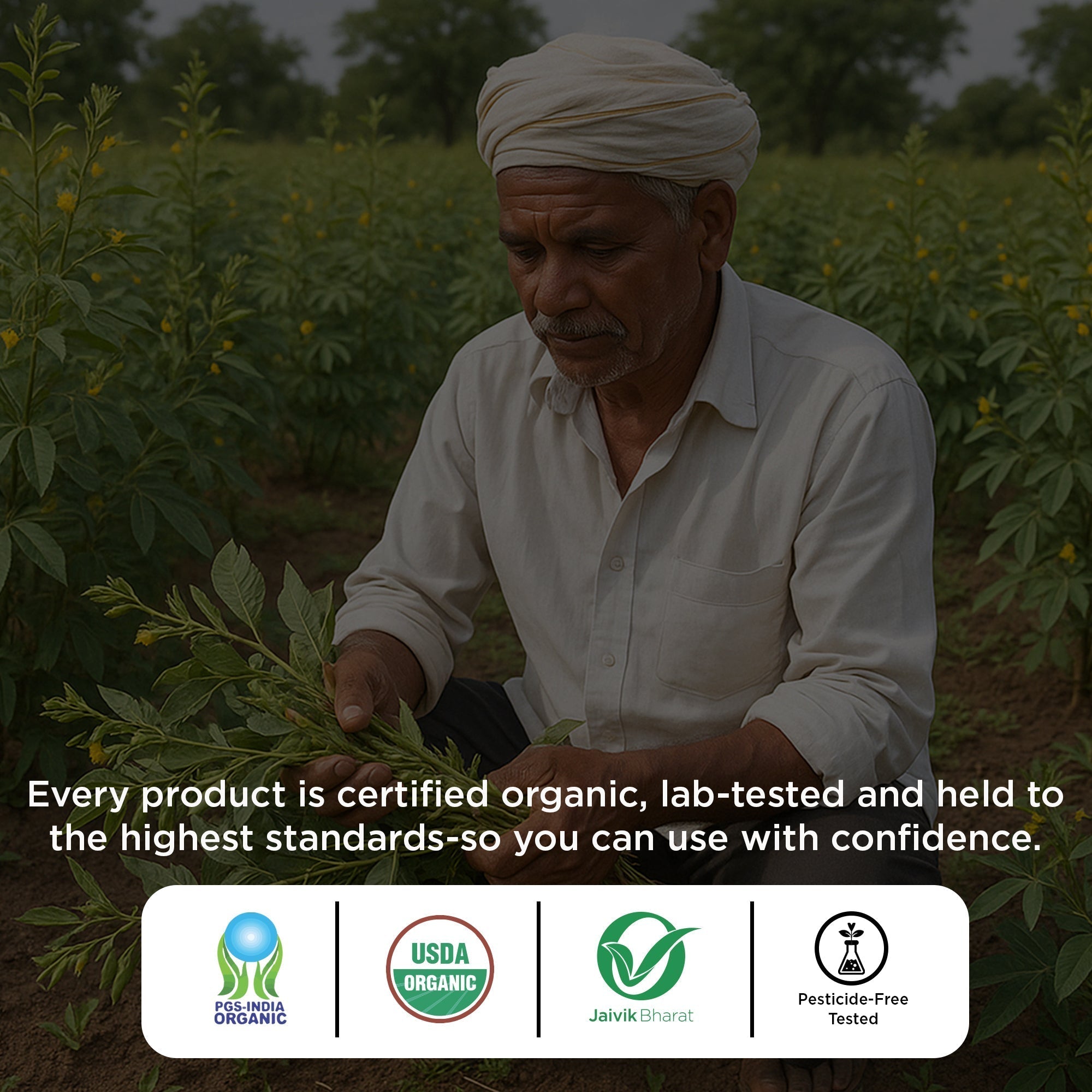 Pure & Sure Organic Chana Dal Pure & Sure