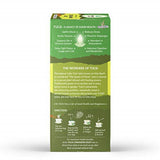 Organic India Tulsi Cinnamon Giloy Tea Bags Organic India
