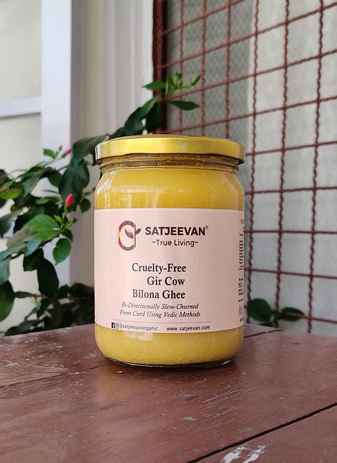 Satjeevan A2 Gir Cow Bilona Ghee | Pure A2 Gir Cow Bilona Ghee | 100% Gir Cow Ghee | Traditional Cow Ghee - Safuron