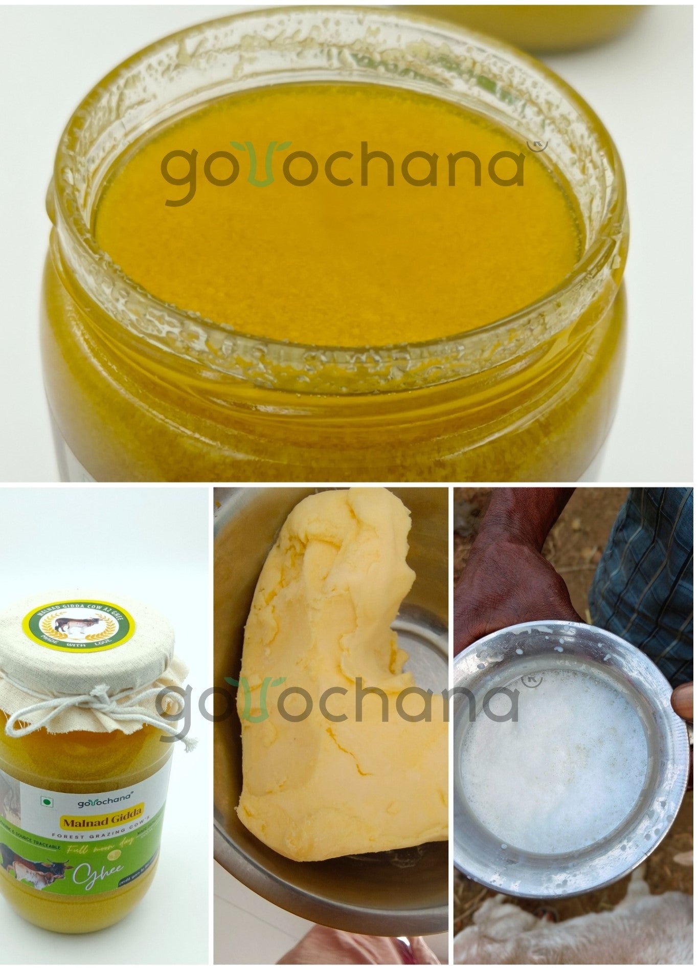 Gorochana 100% Source Traceable Desi Malnad Gidda A2 Full Moon Day Bilona Cow Ghee | Pure Ghee | Organic Ghee Gorochana
