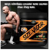 Sabates Size Vigour Weight Gainer Sabates