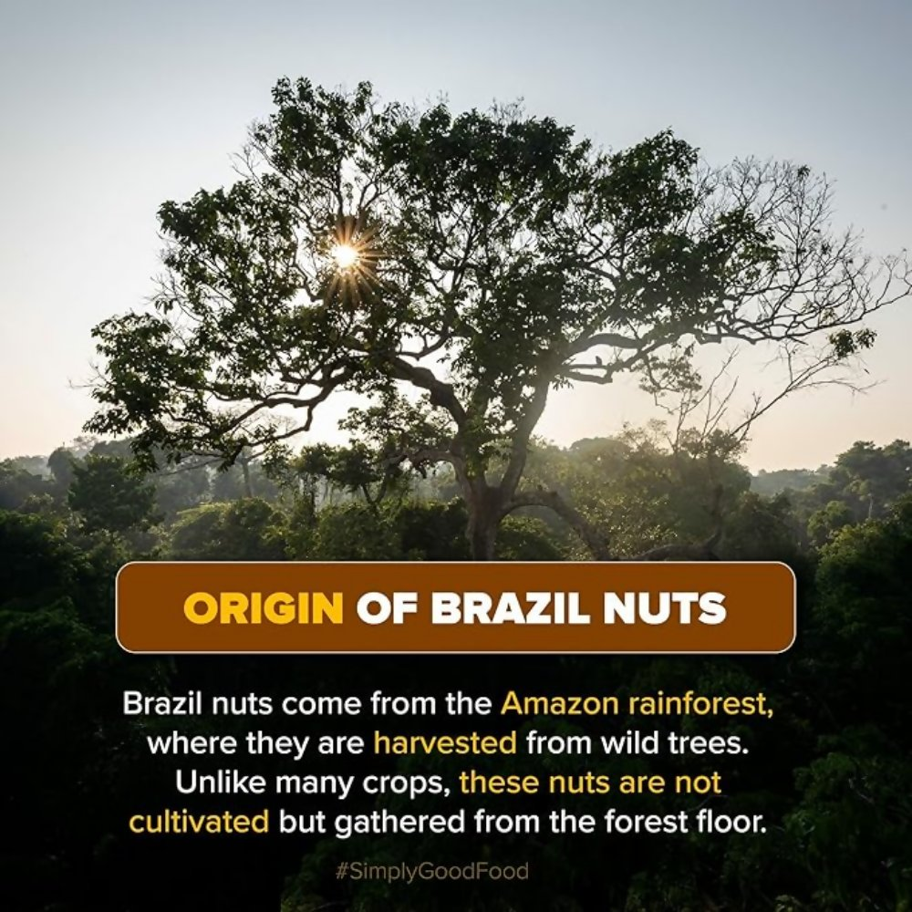 Urban Platter Brazil Nuts Urban Platter
