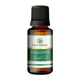 Korus Essential Eucalyptus Essential Oil - Therapeutic Grade - Safuron