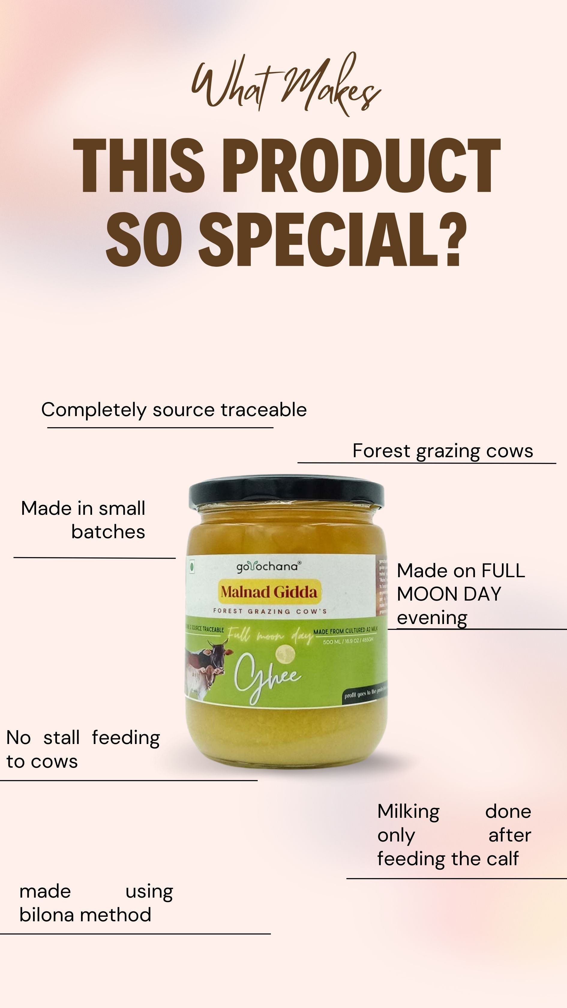 Gorochana 100% Source Traceable Desi Malnad Gidda A2 Full Moon Day Bilona Cow Ghee | Pure Ghee | Organic Ghee Gorochana