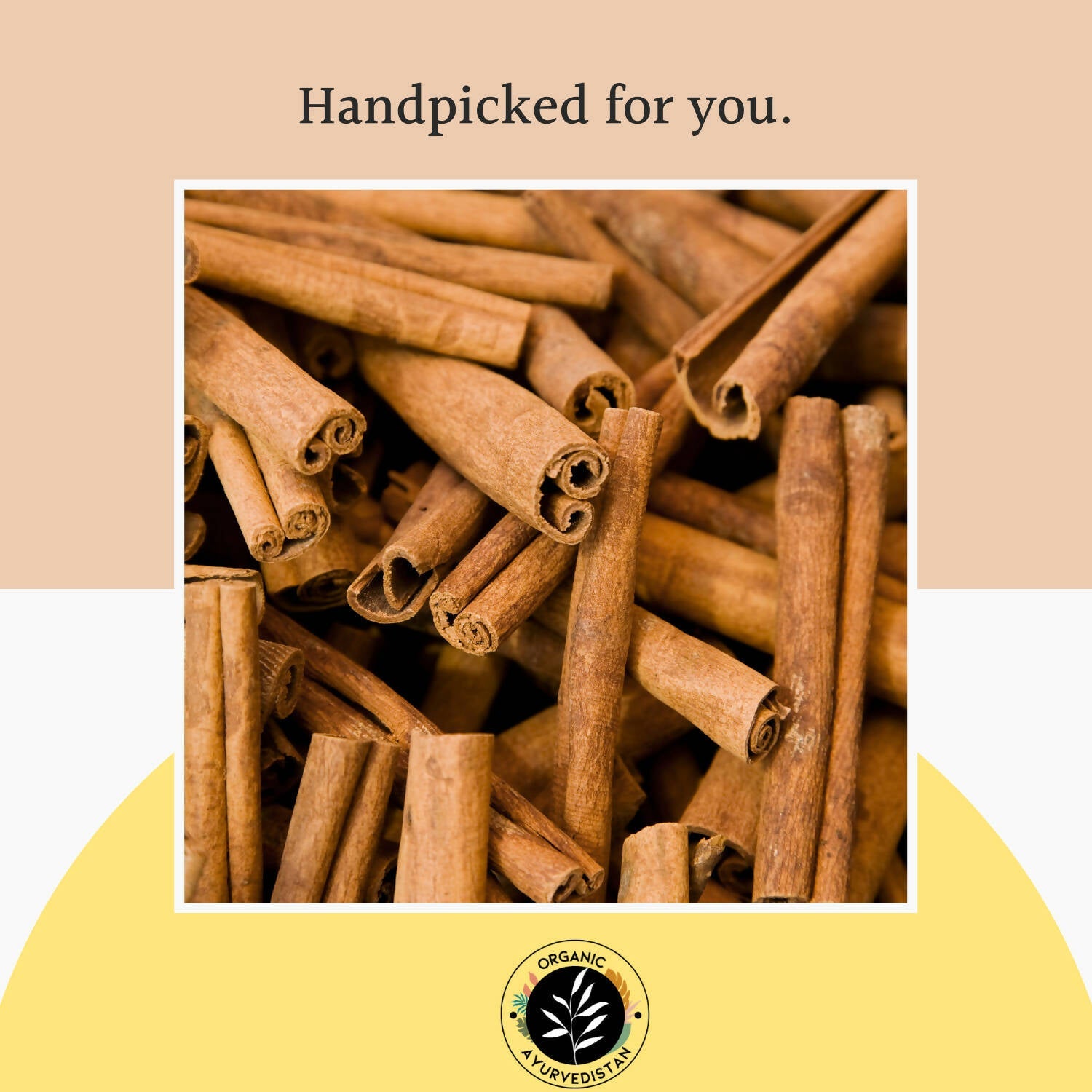 Organic Ayurvedistan Cassia Cinnamon Powder Organic Ayurvedistan