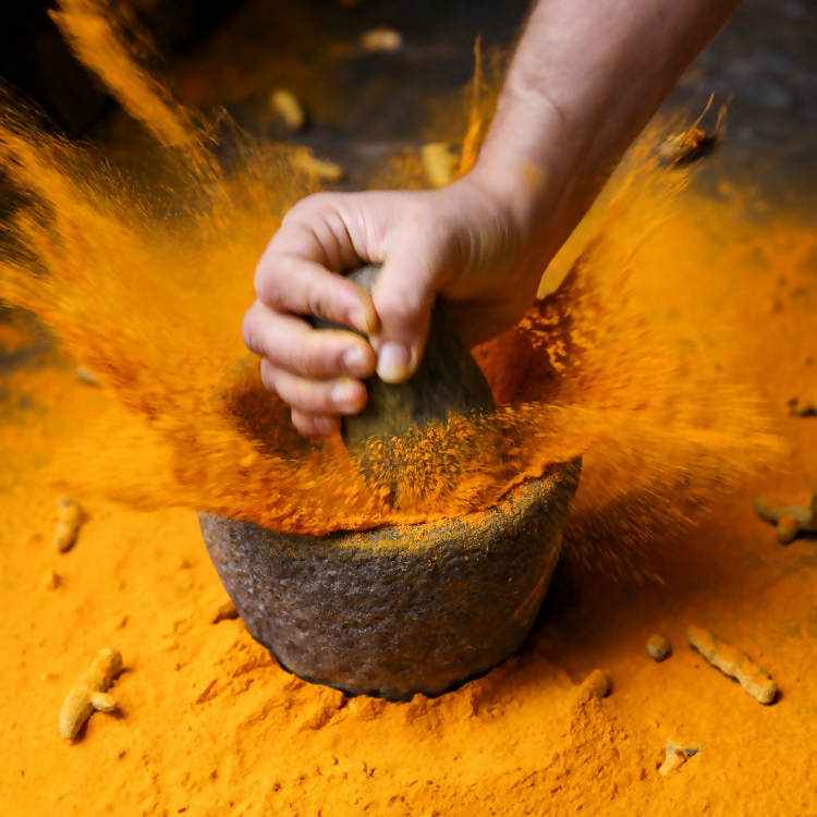 Priya Turmeric (Haldi) Powder Priya