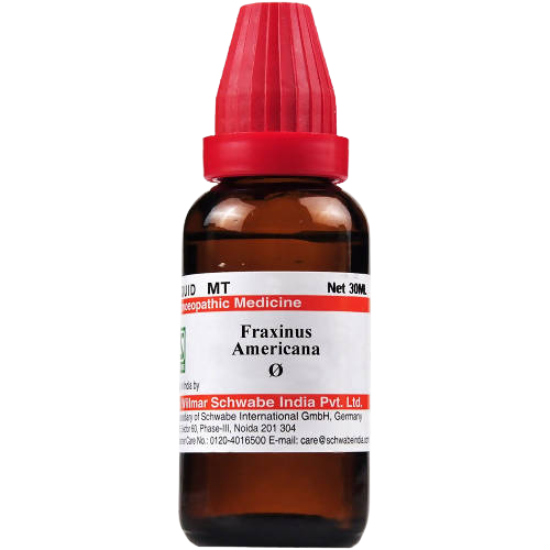 Dr. Willmar Schwabe India Fraxinus Americana Mother Tincture - Safuron Naturals