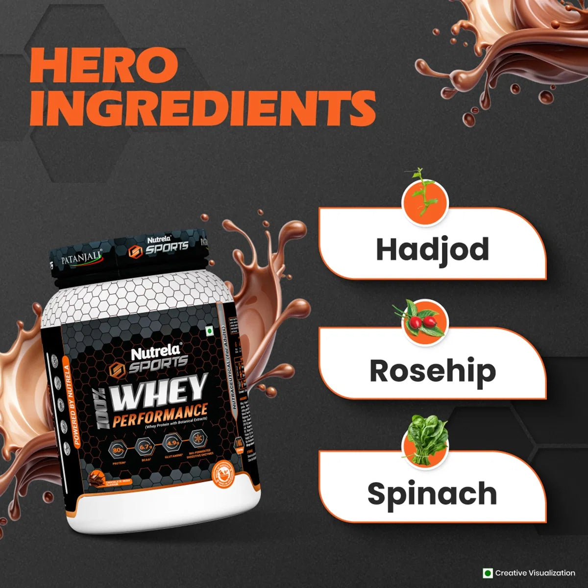 Patanjali Nutrela Sports Whey Performance (Choc-irish) Patanjali