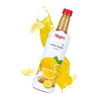 Mapro Lemon Ginger Squash - Dista
